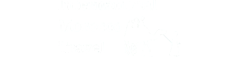 International Morocco Travel